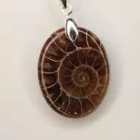 pendentif ammonite fossile bijou naturel ammonite spirale fossile pendentif énergie bijou fossile ancien pierre énergétique