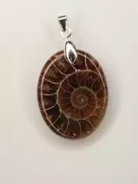 pendentif ammonite fossile bijou naturel ammonite spirale fossile pendentif énergie bijou fossile ancien pierre énergétique
