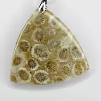 Pendentif en corail fossile naturel Bijou en corail fossilisé avec motifs floraux Pendentif corail fossile lithothérapie