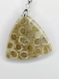 Pendentif en corail fossile naturel Bijou en corail fossilisé avec motifs floraux Pendentif corail fossile lithothérapie