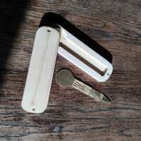 guimbarde vietnamienne