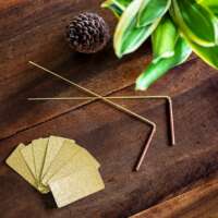 baguette de sourcier