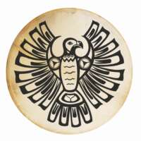 tambour oiseau tonnerre peau vache